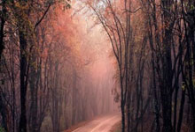 2024志向高远的男孩起名参考(精选15个)